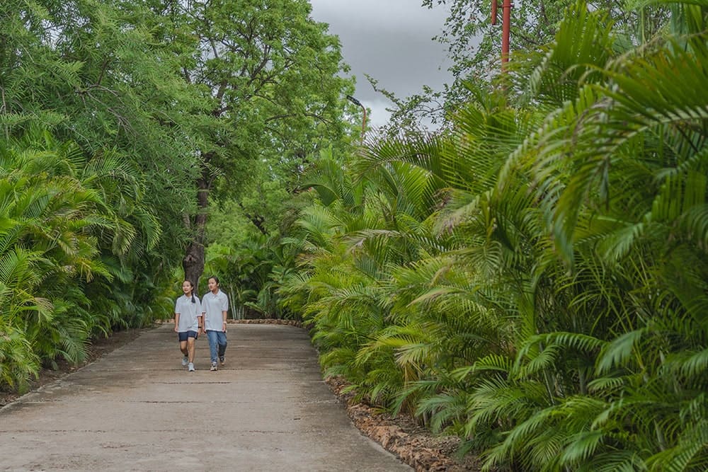 Greenery at Heritage Girls School