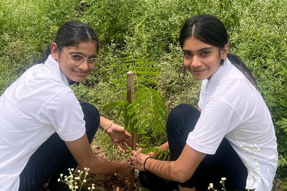 Students participating in social responsibility activities