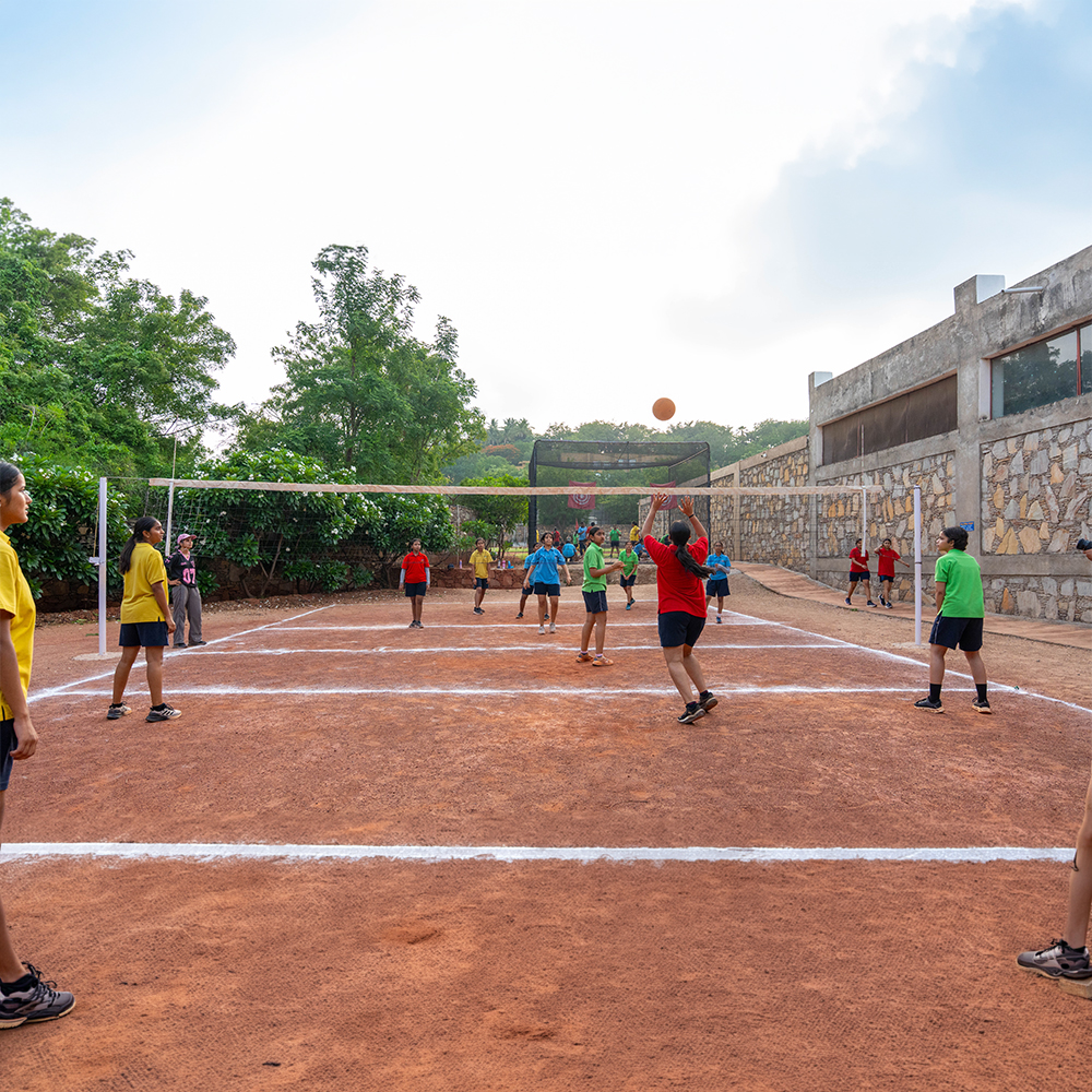 Volleyball
