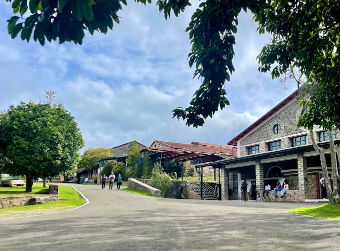 Campus Life