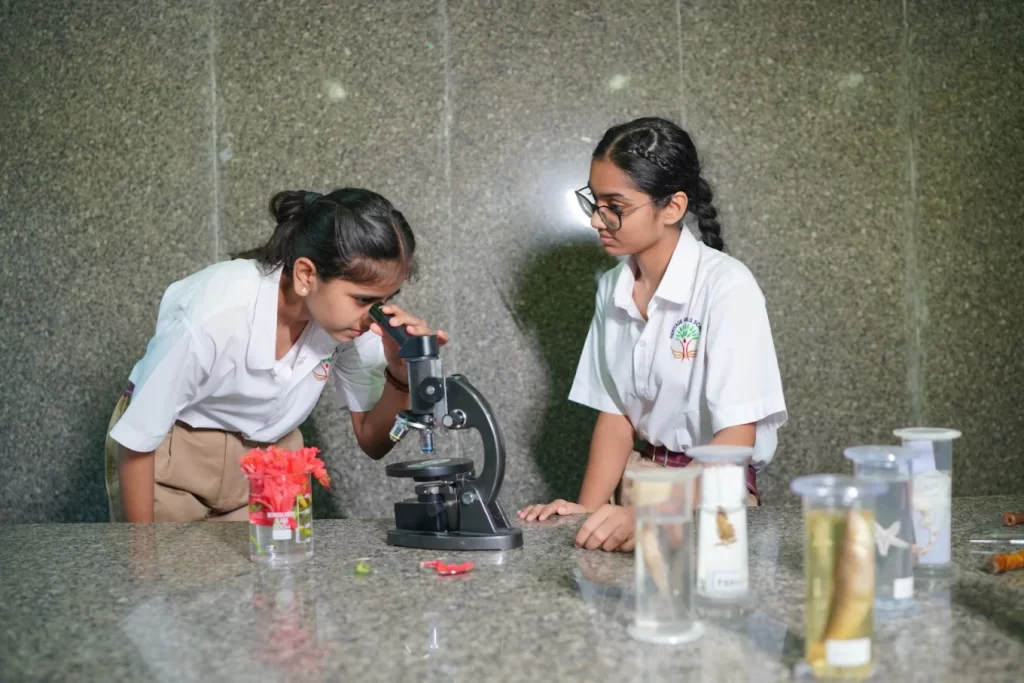 Robotics For Schools