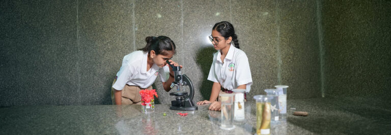 Read more about the article How Robotics For Schools Is Transforming STEM Education