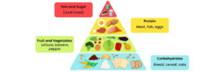 Read more about the article The Ultimate Healthy and Unhealthy Food List for Students